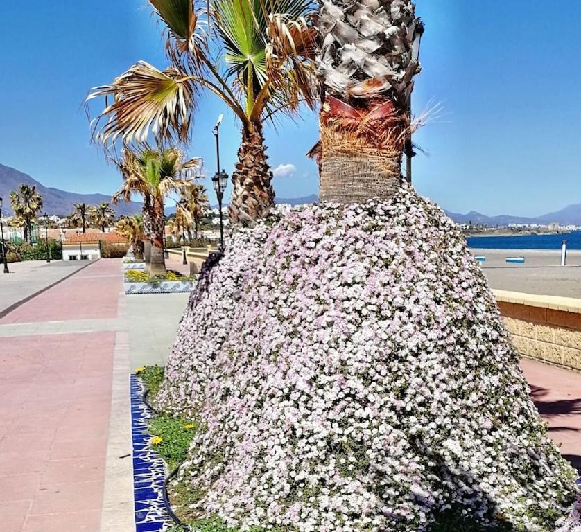 28 Mikonos Playa In Puerto De La Duquesa 2 Bed 2 Bath Apartment Ideally Located To The Beach & Marina Castillo de Sabinillas Екстериор снимка